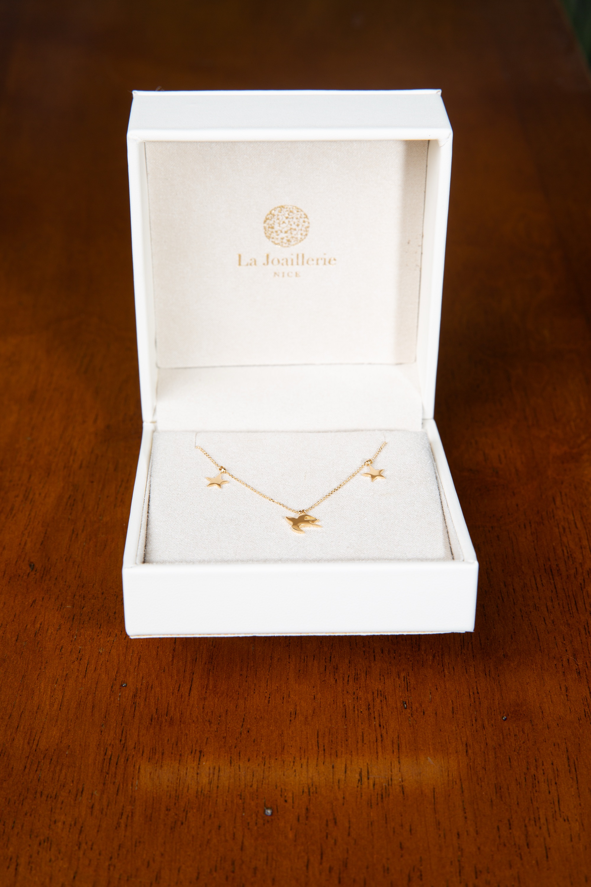 Collier Céleste en or jaune dans son écrin La Joaillerie Nice