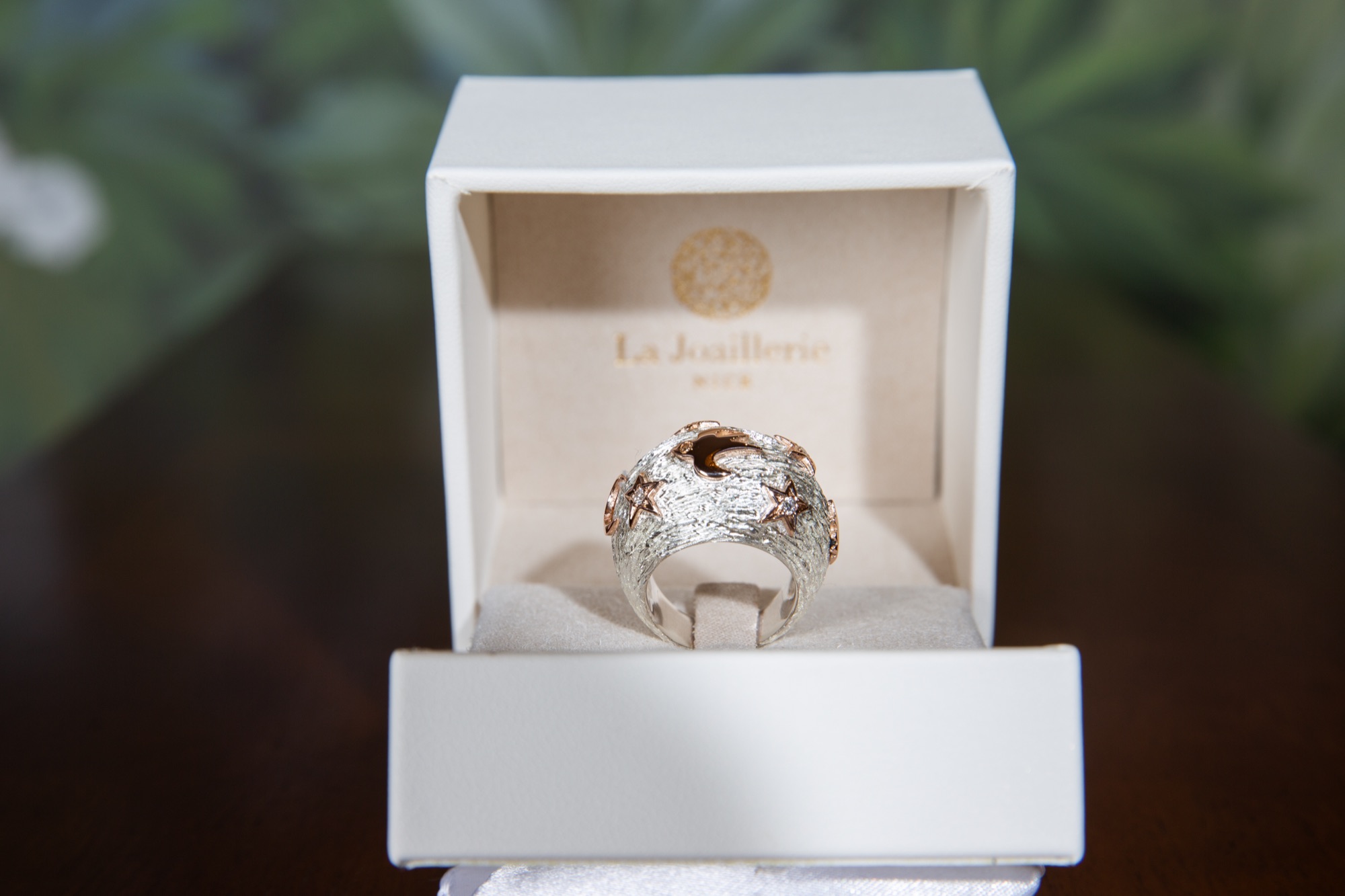 Bague Céleste Grand Modèle — hirondelle, étoiles et lune en or